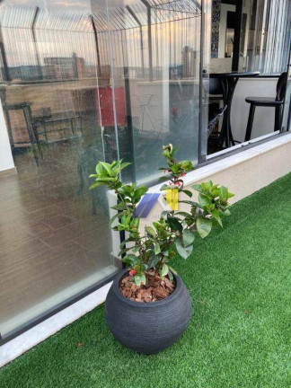 Imagem Apartamento com 5 Quartos à Venda, 230 m² em Centro - Pouso Alegre Imagem Apartamento com 5 Quartos à Venda, 230 m² em Centro - Pouso Alegre