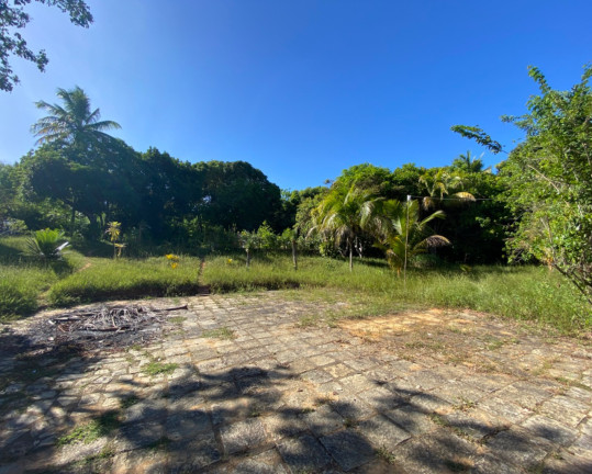 Imagem Terreno à Venda, 6.400 m² em Açu Da Torre - Mata De São João