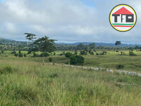 Imagem Fazenda à Venda, 9.196.000 m² em Fazenda - Breu Branco Imagem Fazenda à Venda, 9.196.000 m² em Fazenda - Breu Branco