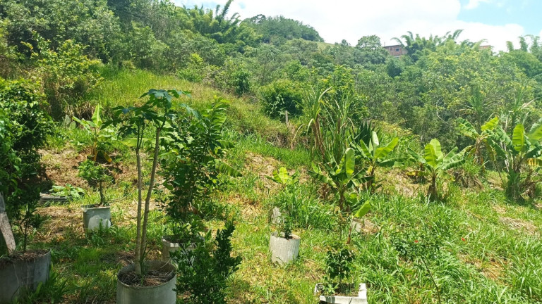Imagem Chácara com 4 Quartos à Venda, 400 m² em Centro - Jambeiro Imagem Chácara com 4 Quartos à Venda, 400 m² em Centro - Jambeiro