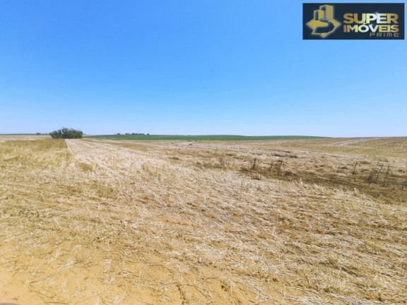 Imagem Imóvel com 3 Quartos à Venda, 21.000.000 m² em área Rural De Cachoeira Do Sul - Cachoeira Do Sul