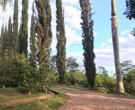 Imagem Chácara com 4 Quartos à Venda, 49.000 m² em Estrada Do Feitall - Morungaba