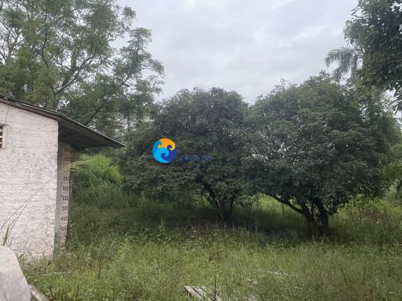 Imagem Casa com 6 Quartos para Alugar, 400 m² em Centro - Morro Da Fumaça