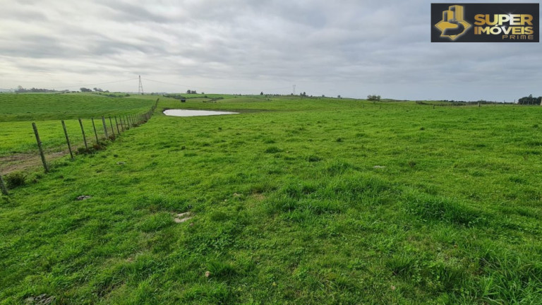 Imagem Imóvel com 3 Quartos à Venda, 2.000.000 m² em Colônia Nova - Aceguá