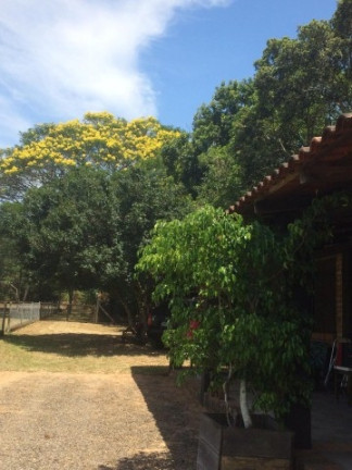 Imagem Casa com 3 Quartos à Venda, 1.980 m² em águas Claras - Viamão