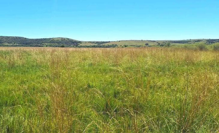 Imóvel com 2 Quartos à Venda, 1.300 m² em Santana Do Livramento
