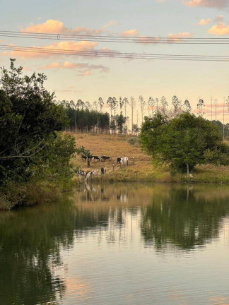 Imagem Fazenda à Venda, 1 m² em Zona Rural - Ipameri Imagem Fazenda à Venda, 1 m² em Zona Rural - Ipameri