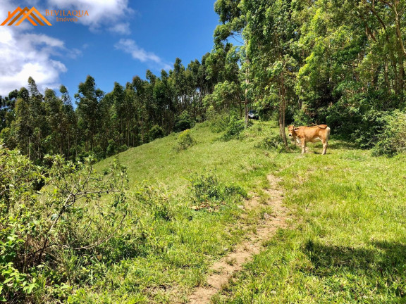 Imagem Terreno à Venda, 14.580 m² em Cangueri De Fora - Imaruí