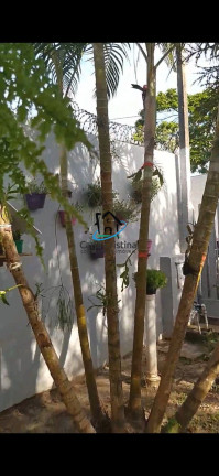 Imagem Casa com 2 Quartos à Venda, 70 m² em Centro - Matinhos Imagem Casa com 2 Quartos à Venda, 70 m² em Centro - Matinhos