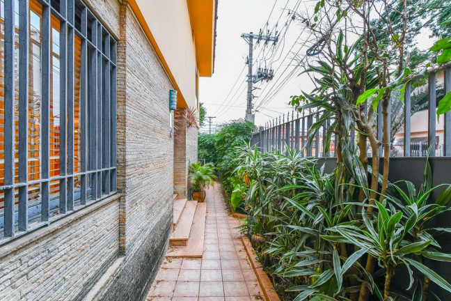 Imagem Casa com 4 Quartos à Venda, 290 m² em Vila Mariana - São Paulo Imagem Casa com 4 Quartos à Venda, 290 m² em Vila Mariana - São Paulo