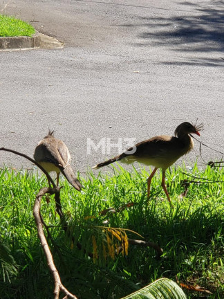 Imagem Terreno à Venda, 2.090 m² em Joaquim Egídio - Campinas Imagem Terreno à Venda, 2.090 m² em Joaquim Egídio - Campinas