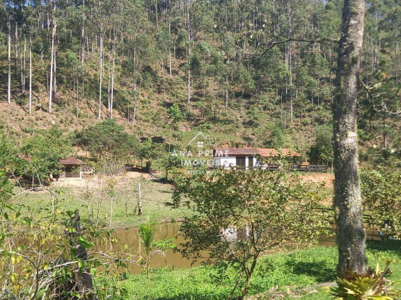 Imagem Chácara com 8 Quartos à Venda, 13 m² em Bairro Do Limoeiro - Natividade Da Serra Imagem Chácara com 8 Quartos à Venda, 13 m² em Bairro Do Limoeiro - Natividade Da Serra