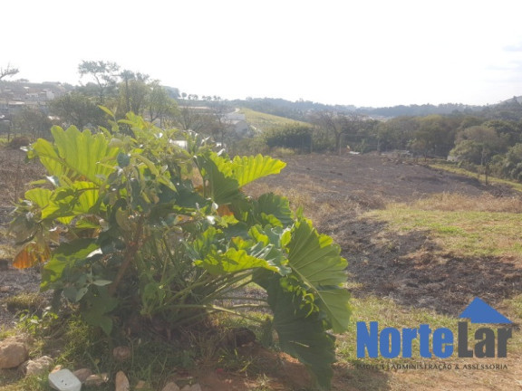 Imagem Terreno à Venda, 20.000 m² em Laranjeiras - Caieiras Imagem Terreno à Venda, 20.000 m² em Laranjeiras - Caieiras