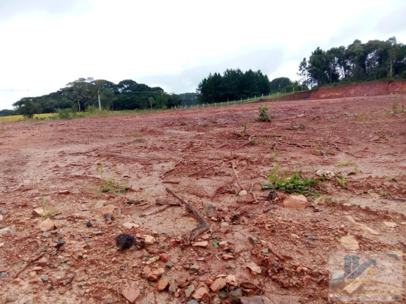 Imagem Terreno à Venda, 4.411 m² em Campo Largo Da Roseira - São José Dos Pinhais