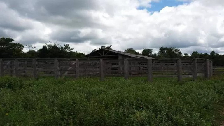 Imagem Fazenda à Venda, 500 m² em Zona Rural - Paranatinga Imagem Fazenda à Venda, 500 m² em Zona Rural - Paranatinga