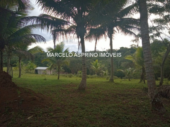 Imagem Imóvel com 3 Quartos à Venda, em Carobeira - Ilhéus Imagem Imóvel com 3 Quartos à Venda, em Carobeira - Ilhéus