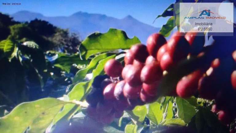 Imagem Fazenda à Venda, 35 m² em Manhumirim