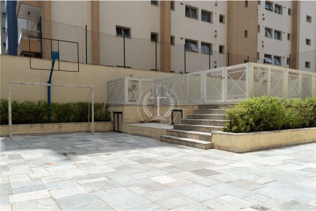 Imagem Apartamento com 3 Quartos à Venda, 97.080 m² em Vila Monte Alegre - São Paulo Imagem Apartamento com 3 Quartos à Venda, 97.080 m² em Vila Monte Alegre - São Paulo