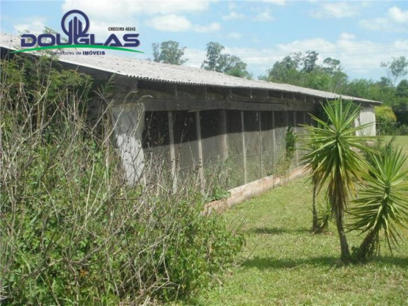 Imagem Chácara com 3 Quartos à Venda, 109 m² em Passo Vigário - Viamão