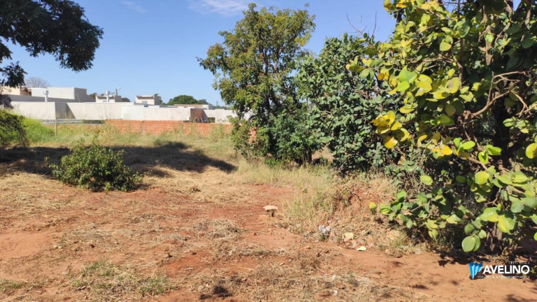 Terreno à Venda, 360 m² em Jardim Mansur - Campo Grande