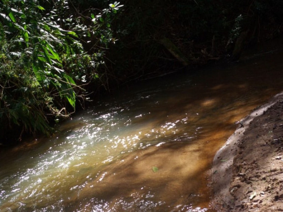 Imagem Imóvel à Venda, 435.600 m² em Zona Rural - Jacui