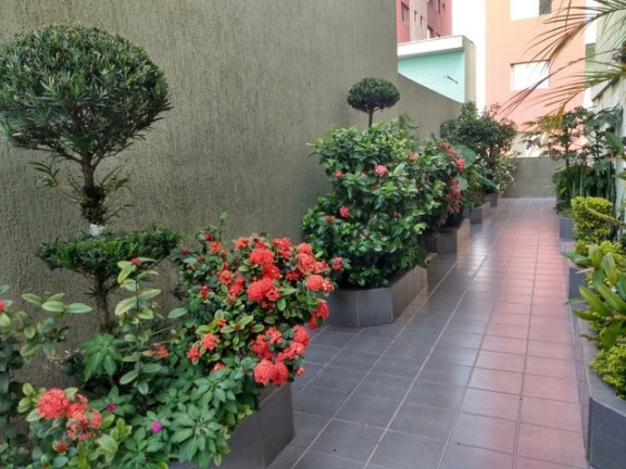 Imagem Apartamento com 2 Quartos à Venda, 65 m² em Rudge Ramos - São Bernardo Do Campo