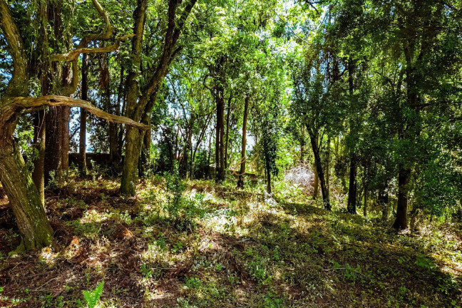 Imagem Terreno à Venda, 2.189 m² em Pinheirinho - Curitiba Imagem Terreno à Venda, 2.189 m² em Pinheirinho - Curitiba