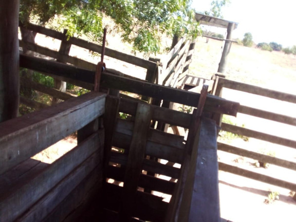 Imagem Fazenda à Venda, 32 m² em Rural - Bauru Imagem Fazenda à Venda, 32 m² em Rural - Bauru