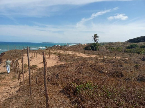 Imagem Terreno à Venda, 900 m² em Tibau Do Sul Imagem Terreno à Venda, 900 m² em Tibau Do Sul
