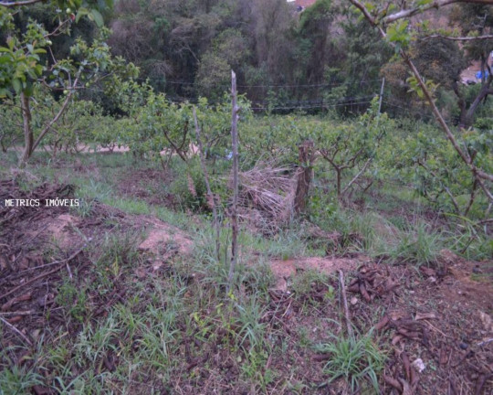Imagem Imóvel à Venda, 5.000 m² em São José Da Pedra Santa - Jundiaí Imagem Imóvel à Venda, 5.000 m² em São José Da Pedra Santa - Jundiaí