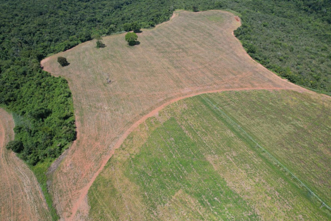 Imagem Fazenda à Venda, 130 m² em Zona Rural - Perdizes Imagem Fazenda à Venda, 130 m² em Zona Rural - Perdizes