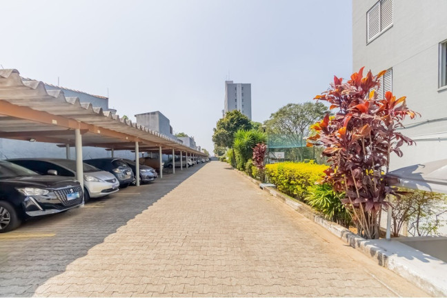 Imagem Apartamento com 2 Quartos à Venda, 68 m² em Jardim Da Saúde - São Paulo Imagem Apartamento com 2 Quartos à Venda, 68 m² em Jardim Da Saúde - São Paulo