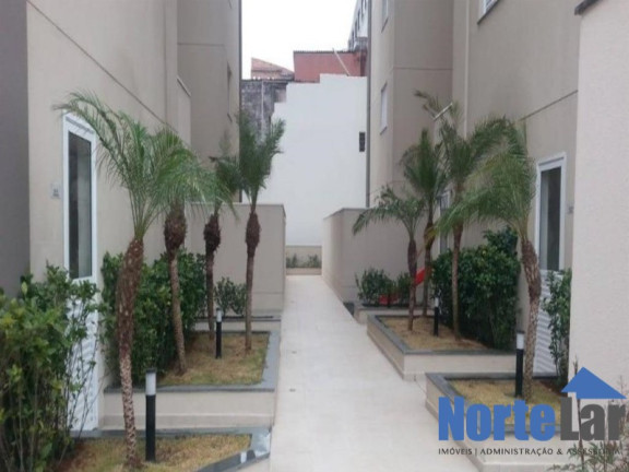 Imagem Apartamento com 3 Quartos à Venda, 68 m² em Vila Souza - São Paulo Imagem Apartamento com 3 Quartos à Venda, 68 m² em Vila Souza - São Paulo