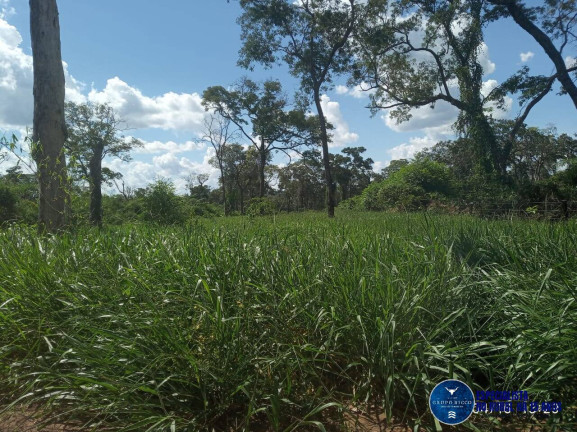 Imagem Fazenda à Venda, 195 m² em Zona Rural - Ribeirão Cascalheira Imagem Fazenda à Venda, 195 m² em Zona Rural - Ribeirão Cascalheira
