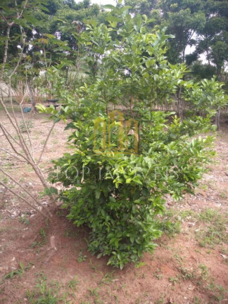 Imagem Terreno à Venda, 1.100 m² em Veraneio Ijal - Jacareí Imagem Terreno à Venda, 1.100 m² em Veraneio Ijal - Jacareí