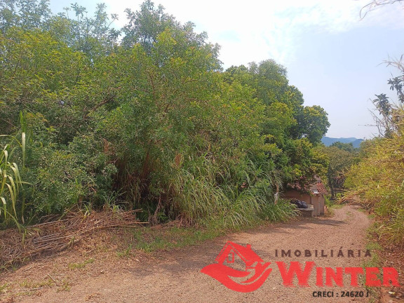 Imagem Chácara à Venda, 726 m² em Bom Fim - Feliz Imagem Chácara à Venda, 726 m² em Bom Fim - Feliz