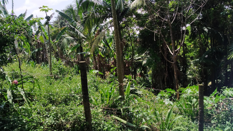 Imagem Terreno à Venda, 1.748 m² em Sete Praias - São Paulo Imagem Terreno à Venda, 1.748 m² em Sete Praias - São Paulo