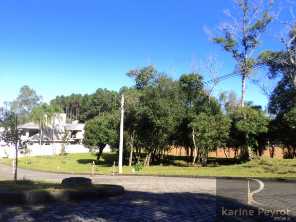 Imagem Terreno à Venda, 557 m² em Santo André - São Leopoldo Imagem Terreno à Venda, 557 m² em Santo André - São Leopoldo