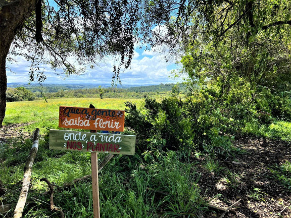 Imagem Chácara à Venda, 1 m² em Fiuza - Viamão Imagem Chácara à Venda, 1 m² em Fiuza - Viamão