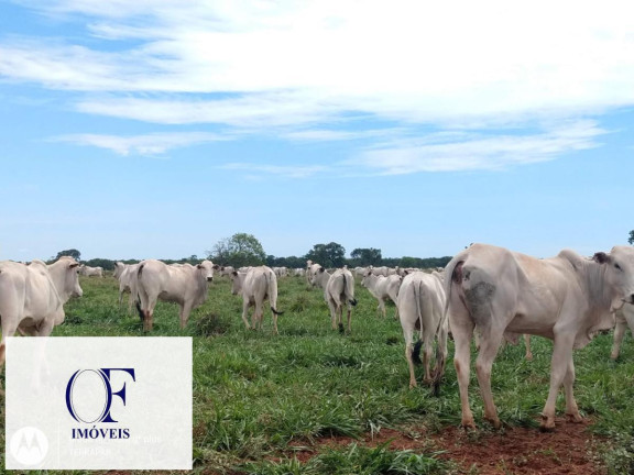 Imagem Fazenda à Venda, 3.097 m² em Rural - Chapadão Do Sul