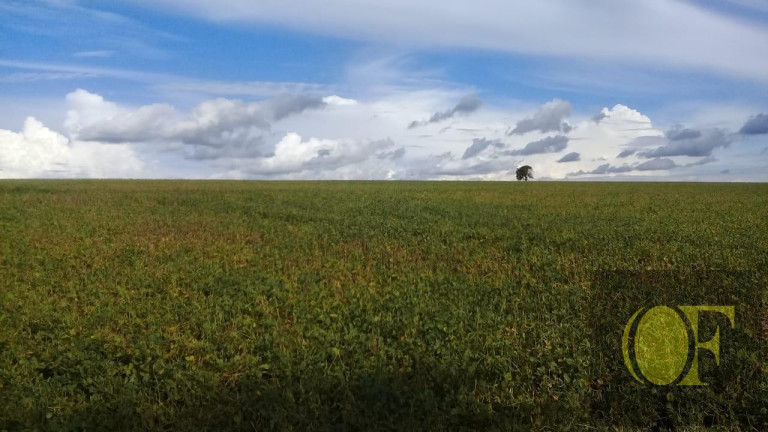 Imagem Fazenda à Venda, 75 m² em Rural - Paranapanema Imagem Fazenda à Venda, 75 m² em Rural - Paranapanema