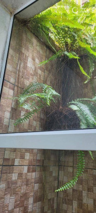 Imagem Casa com 3 Quartos à Venda, 135 m² em Jardim Sales - Jundiaí Imagem Casa com 3 Quartos à Venda, 135 m² em Jardim Sales - Jundiaí