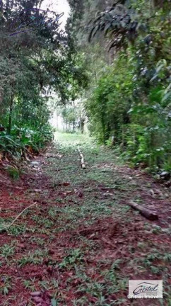 Imagem Chácara com 5 Quartos à Venda, 280 m² em Santana - Cotia Imagem Chácara com 5 Quartos à Venda, 280 m² em Santana - Cotia
