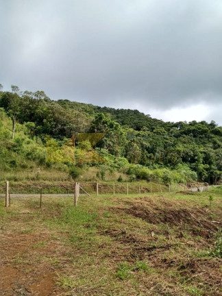 Imagem Fazenda à Venda, 64.288 m² em Barra Avencal - Rio Dos Cedros