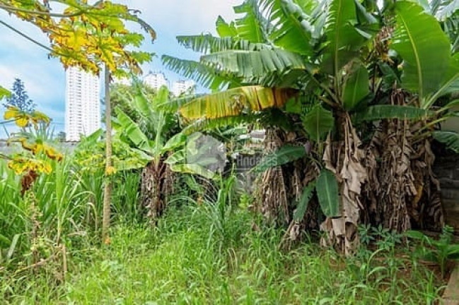 Imagem Terreno à Venda, 320 m² em Cidade Dutra - São Paulo Imagem Terreno à Venda, 320 m² em Cidade Dutra - São Paulo