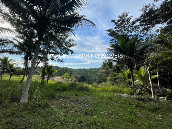 Imagem Imóvel com 3 Quartos à Venda, em Carobeira - Ilhéus Imagem Imóvel com 3 Quartos à Venda, em Carobeira - Ilhéus