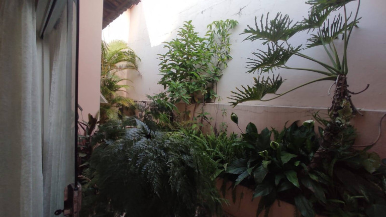 Imagem Casa com 3 Quartos para Alugar, 250 m² em Jardim Vergueiro - Sorocaba