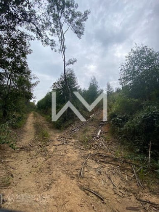 Imagem Terreno à Venda, 28.580 m² em Briquituba - Mairinque Imagem Terreno à Venda, 28.580 m² em Briquituba - Mairinque