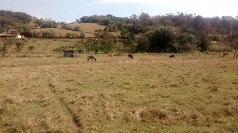 Imagem Imóvel com 3 Quartos à Venda, 50 m² em Paraisópolis - Paraisópolis Imagem Imóvel com 3 Quartos à Venda, 50 m² em Paraisópolis - Paraisópolis
