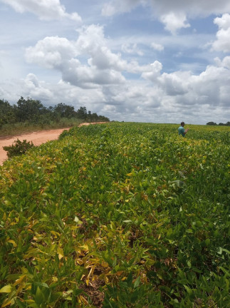 Imagem Imóvel à Venda,  em Colinas Do Tocantins/to - Colinas Do Tocantins